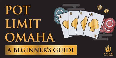 Pot Limit Omaha Poker Rules (Beginner's Guide).